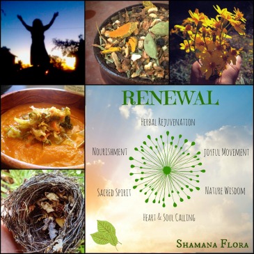 renewal with images